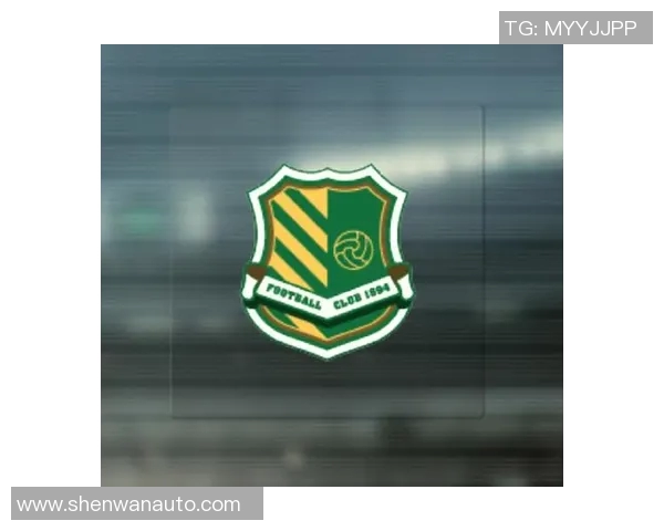 独具收藏价值的足球球星亲笔签字板展现绿茵传奇魅力 独具收藏价值的足球球星亲笔签字板展现绿茵传奇魅力